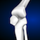 KneeDecide MD $4.99 KneeDecide MD $4.99